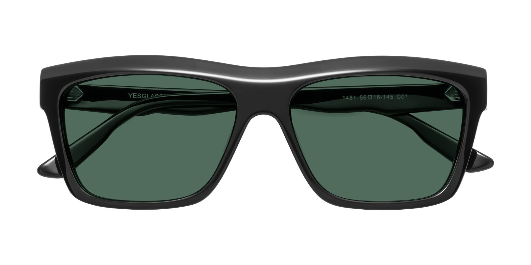 Folded Front of 1481 in Black with Green Polarized Lenses