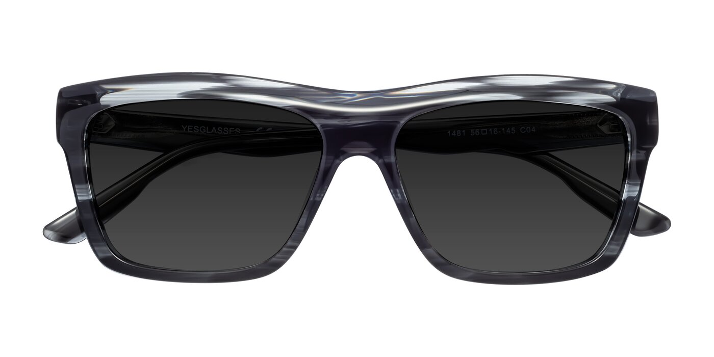 1481 - Stripe Polarized Sunglasses