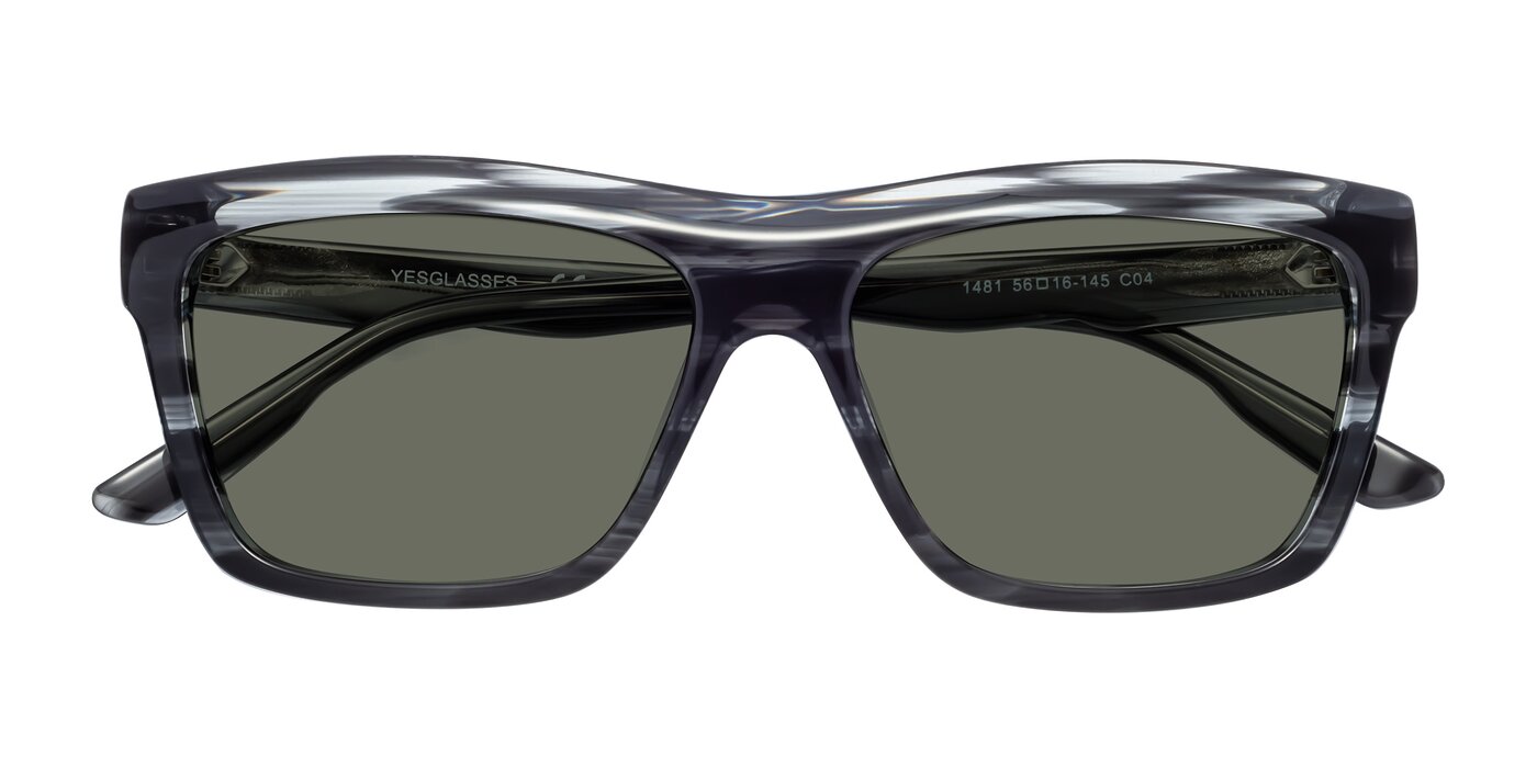 1481 - Stripe Polarized Sunglasses