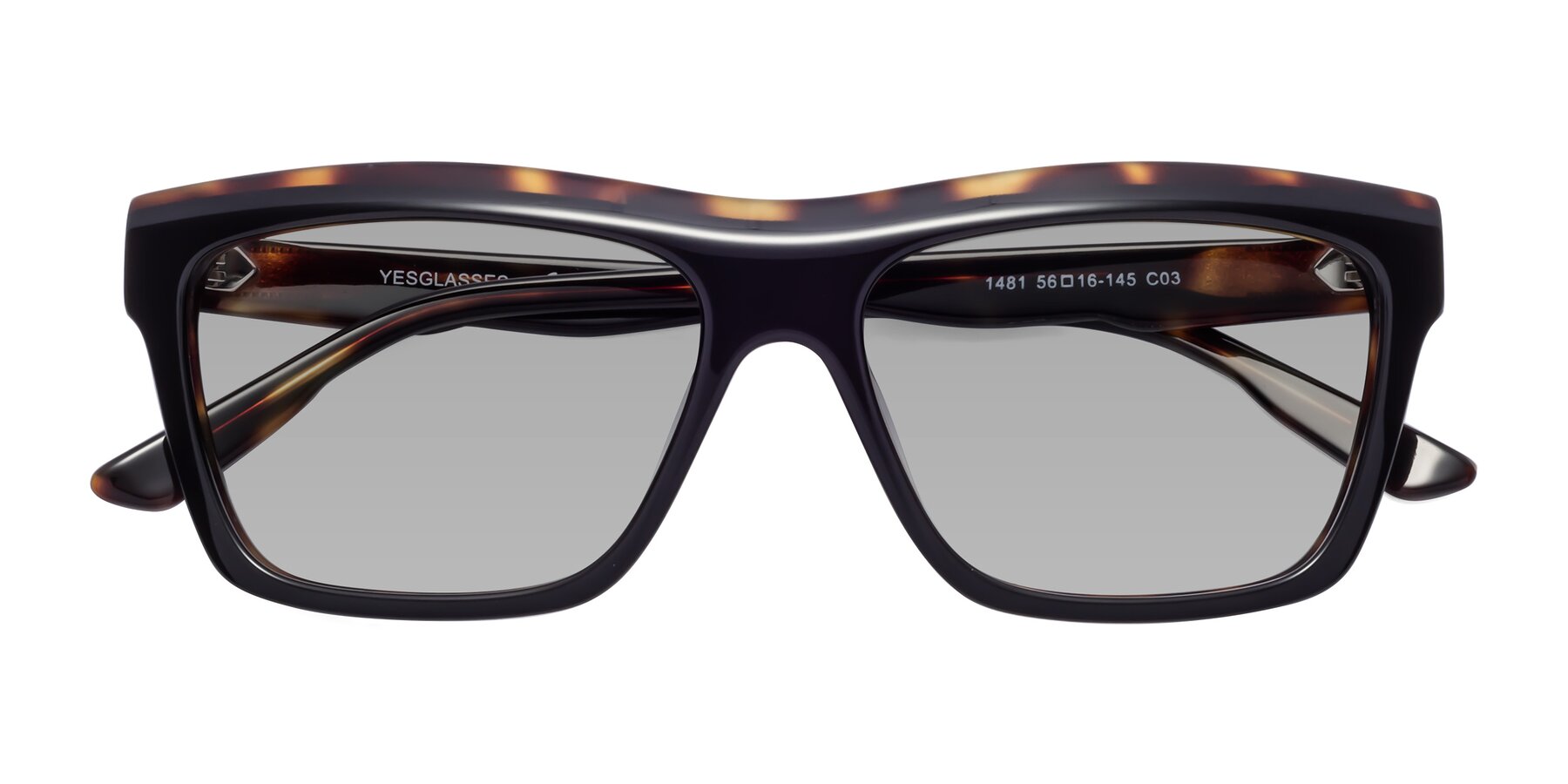 Folded Front of 1481 in Tortoise with Light Gray Tinted Lenses