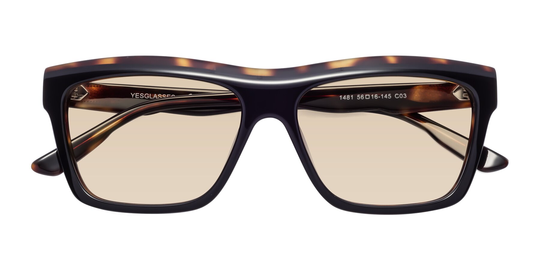 Folded Front of 1481 in Tortoise with Light Brown Tinted Lenses