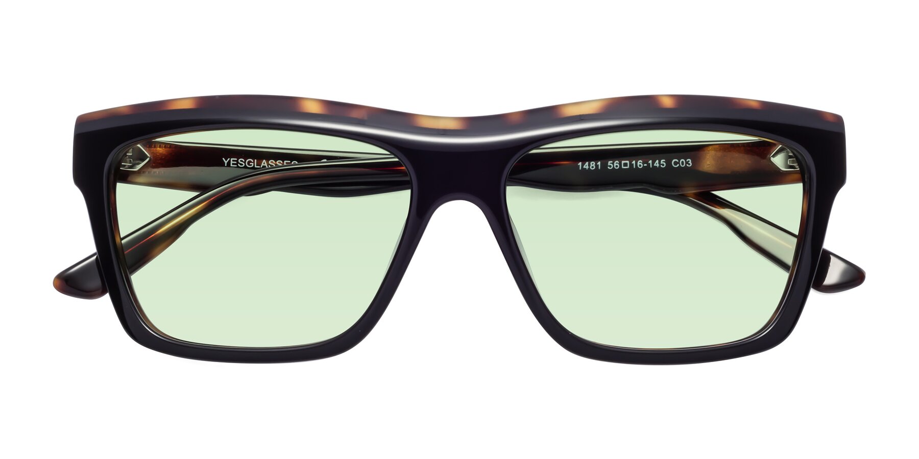 Folded Front of 1481 in Tortoise with Light Green Tinted Lenses
