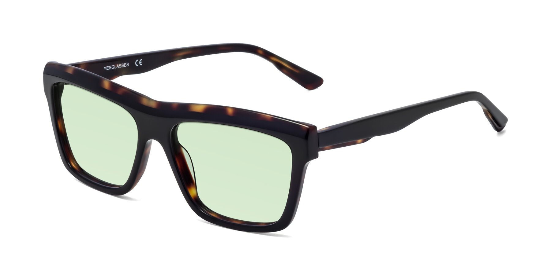 Angle of 1481 in Tortoise with Light Green Tinted Lenses