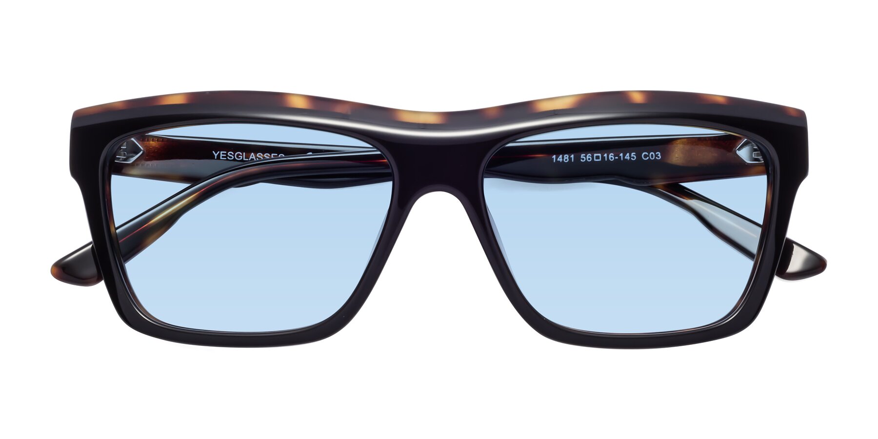 Folded Front of 1481 in Tortoise with Light Blue Tinted Lenses