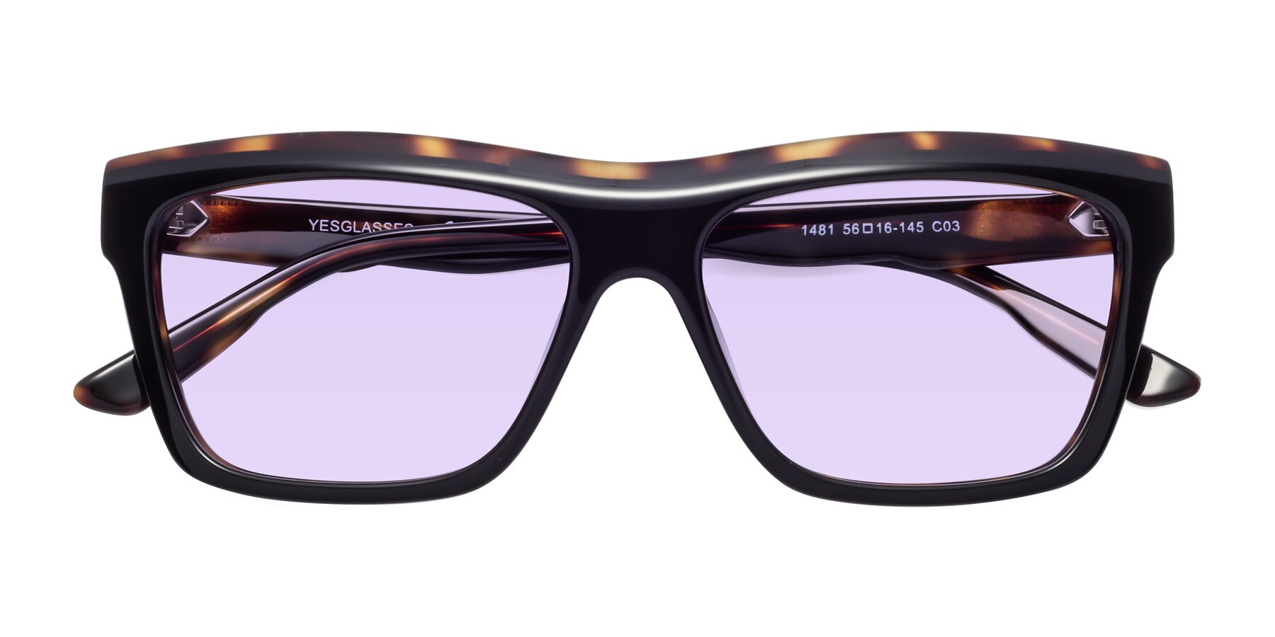 Folded Front of 1481 in Tortoise with Light Purple Tinted Lenses