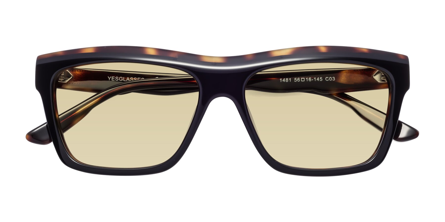 Folded Front of 1481 in Tortoise with Light Champagne Tinted Lenses