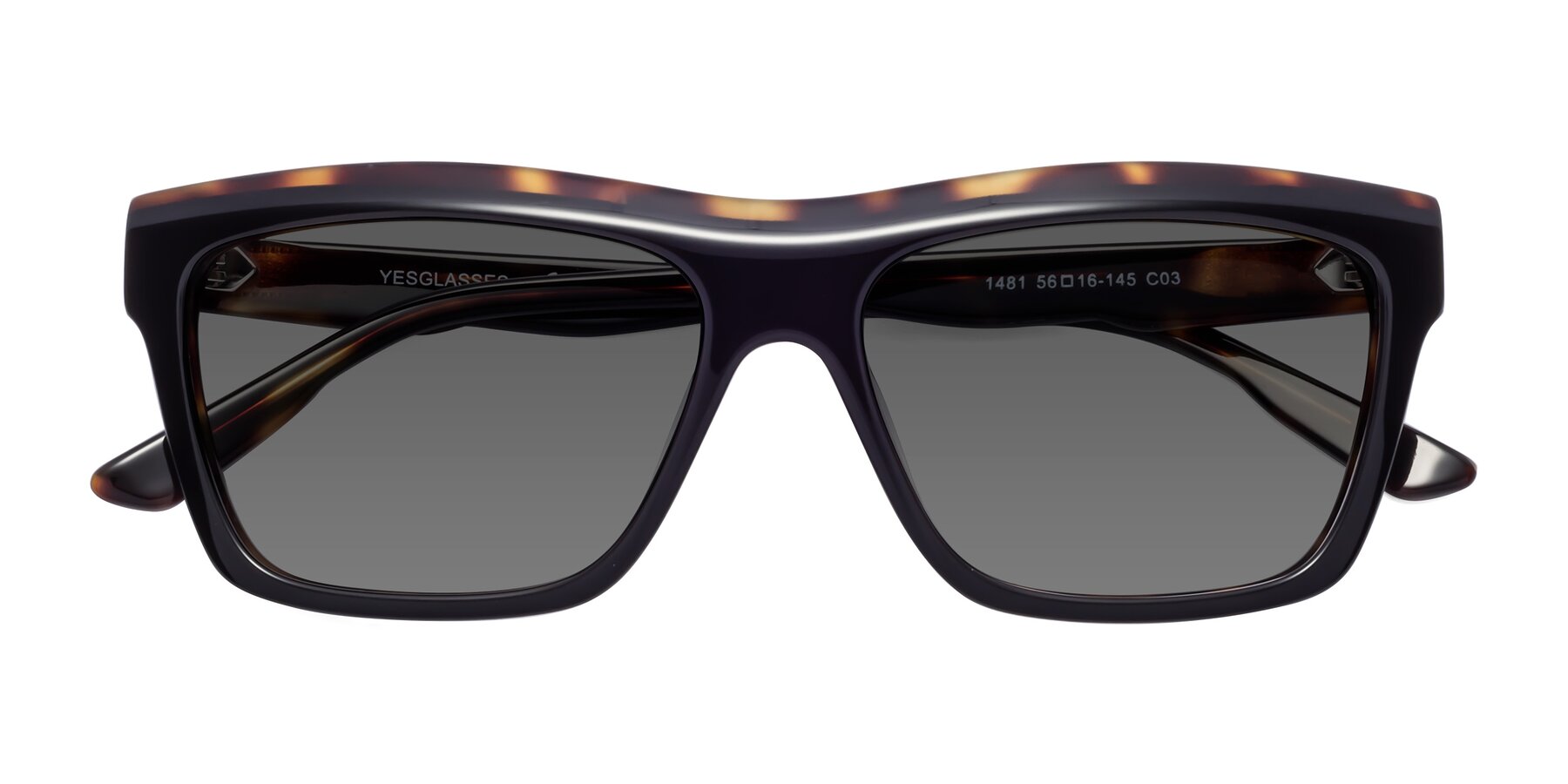 Folded Front of 1481 in Tortoise with Medium Gray Tinted Lenses