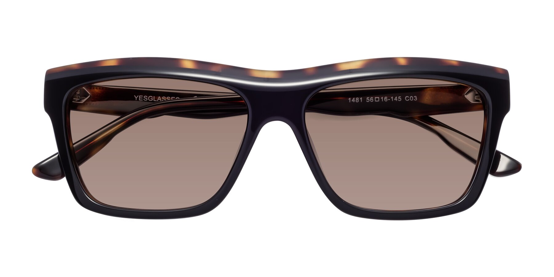 Folded Front of 1481 in Tortoise with Medium Brown Tinted Lenses