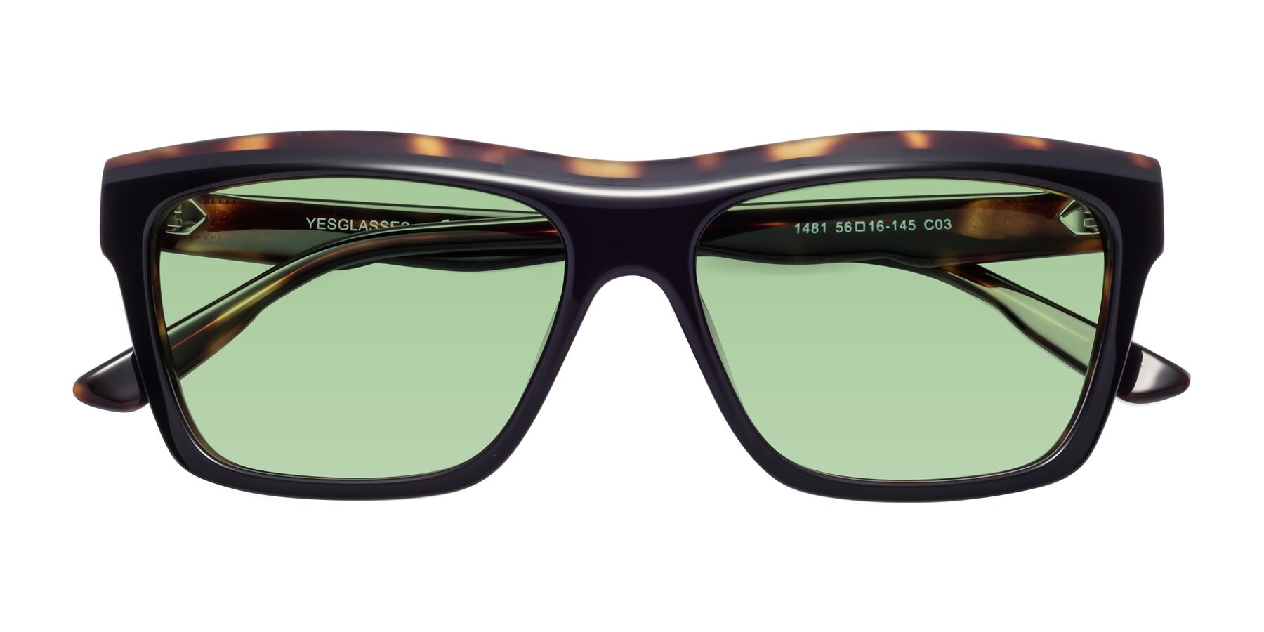 Folded Front of 1481 in Tortoise with Medium Green Tinted Lenses