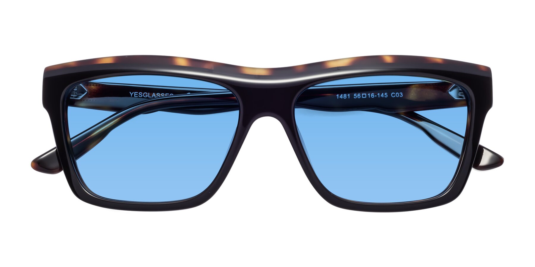 Folded Front of 1481 in Tortoise with Medium Blue Tinted Lenses