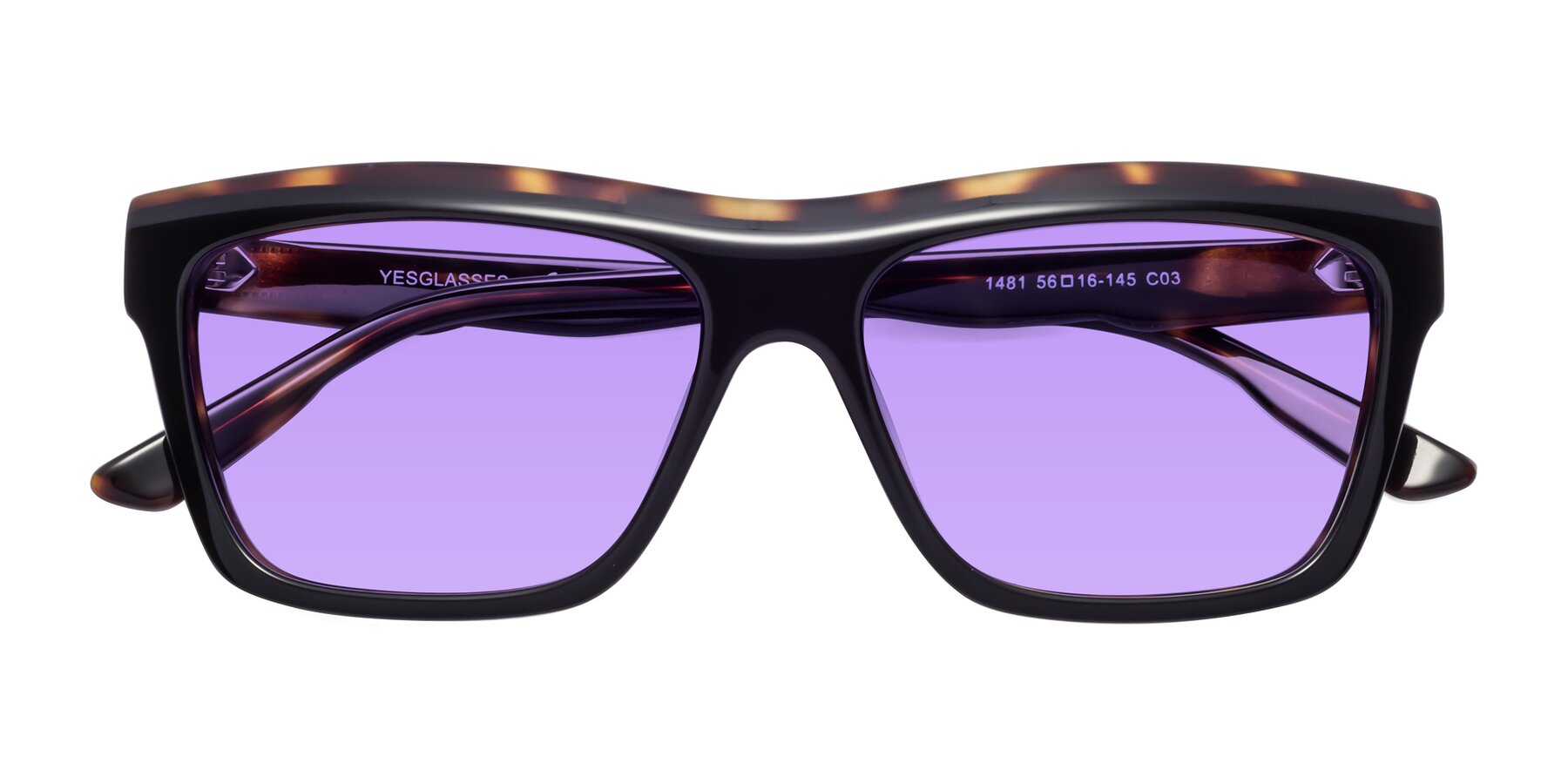 Folded Front of 1481 in Tortoise with Medium Purple Tinted Lenses