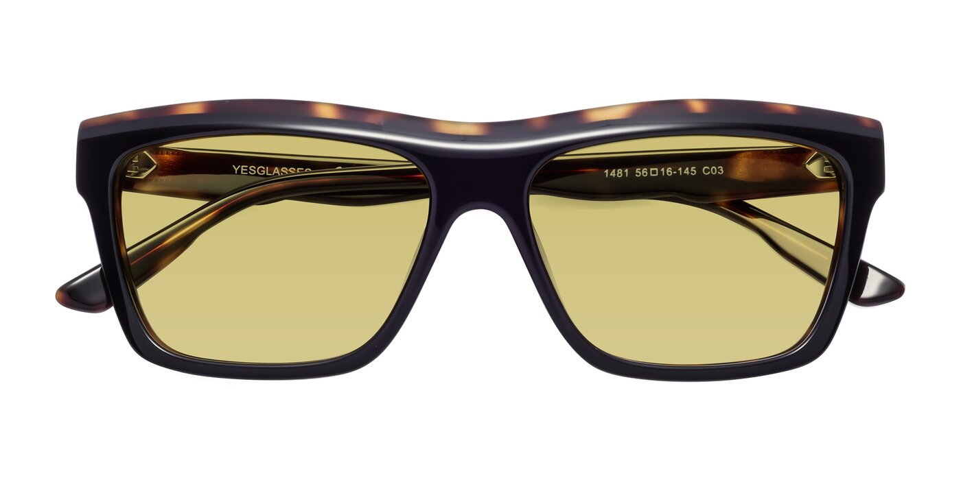 1481 - Tortoise Tinted Sunglasses