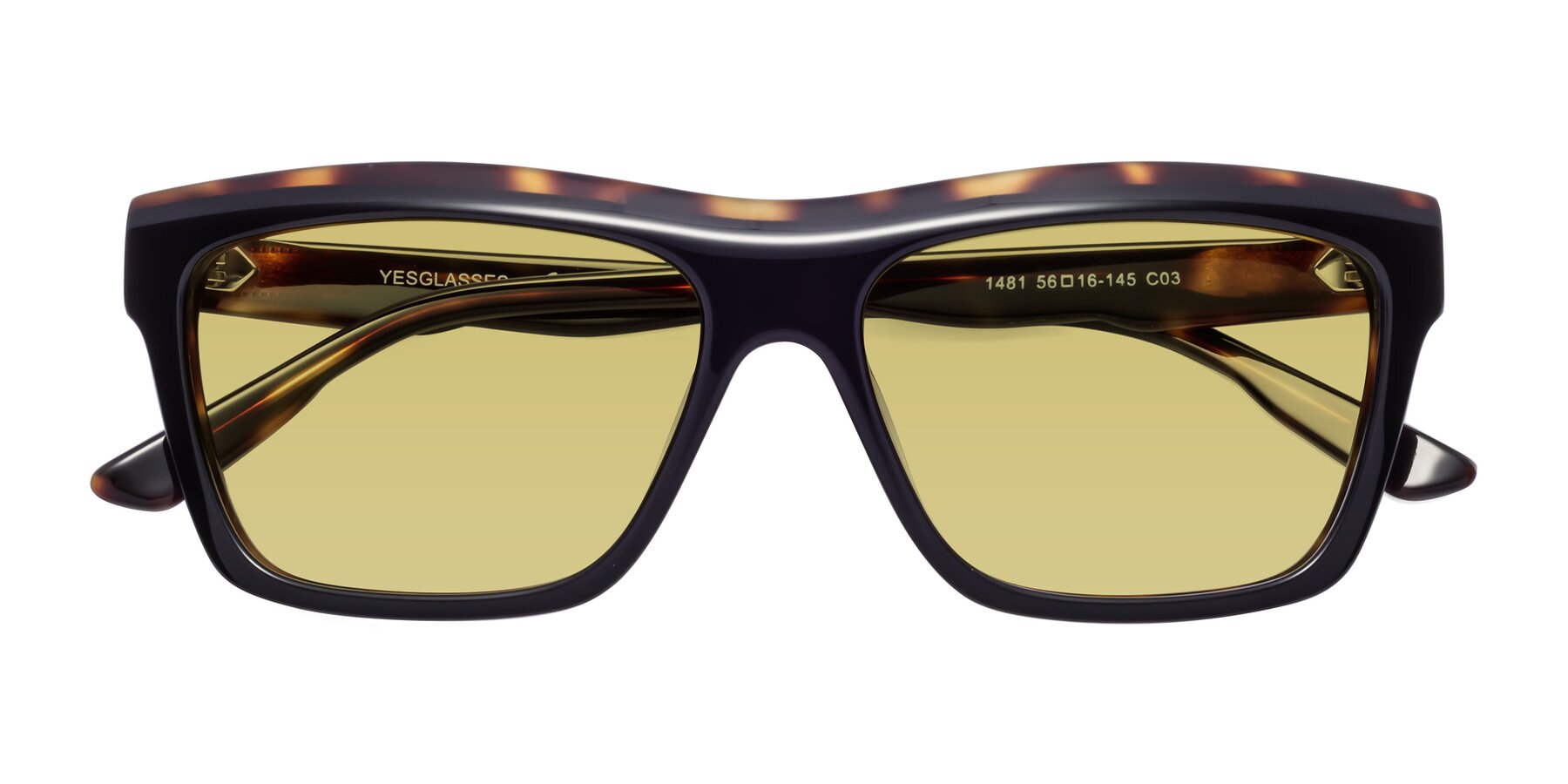 Folded Front of 1481 in Tortoise with Medium Champagne Tinted Lenses