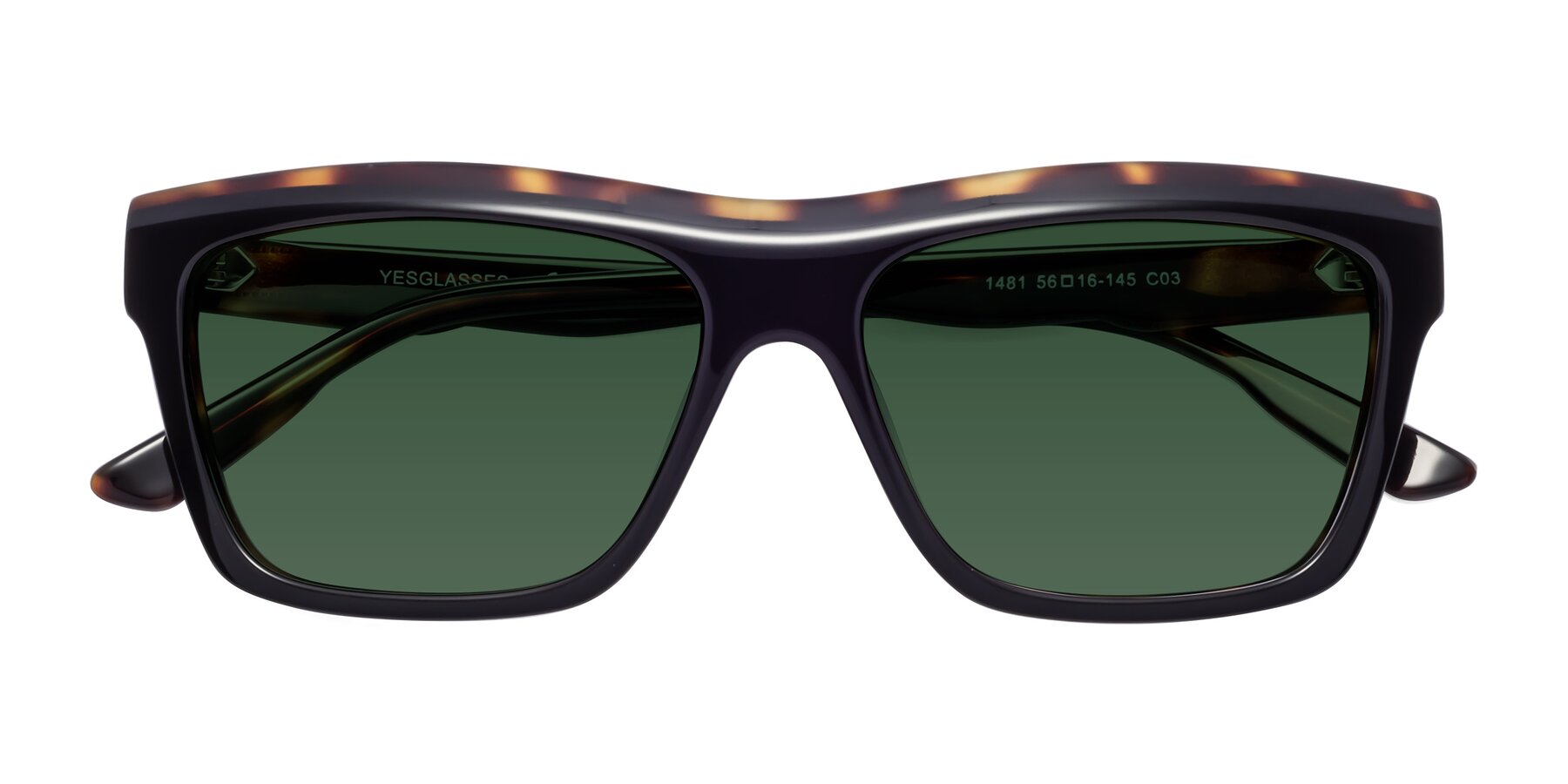 Folded Front of 1481 in Tortoise with Green Tinted Lenses