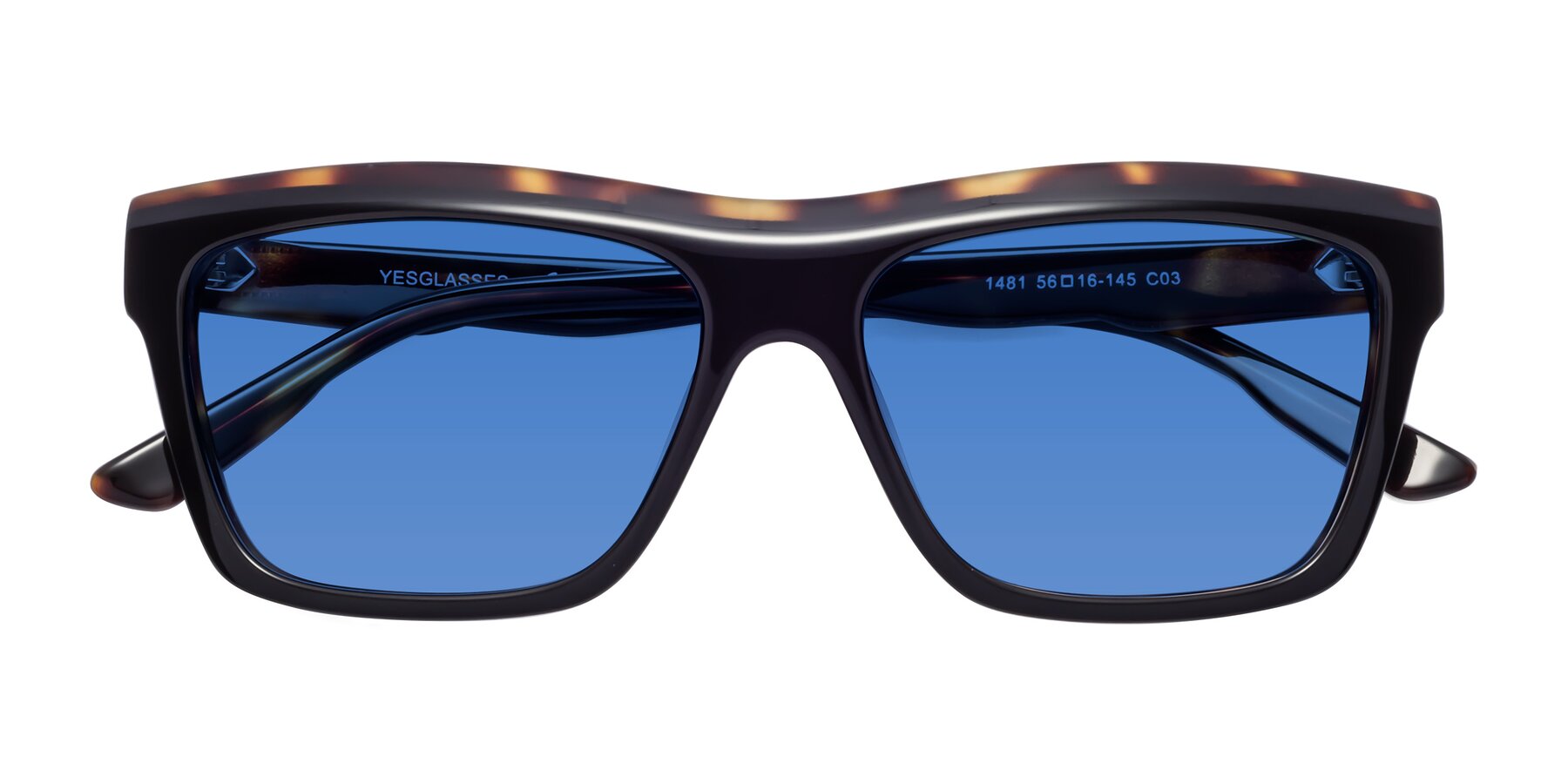 Folded Front of 1481 in Tortoise with Blue Tinted Lenses