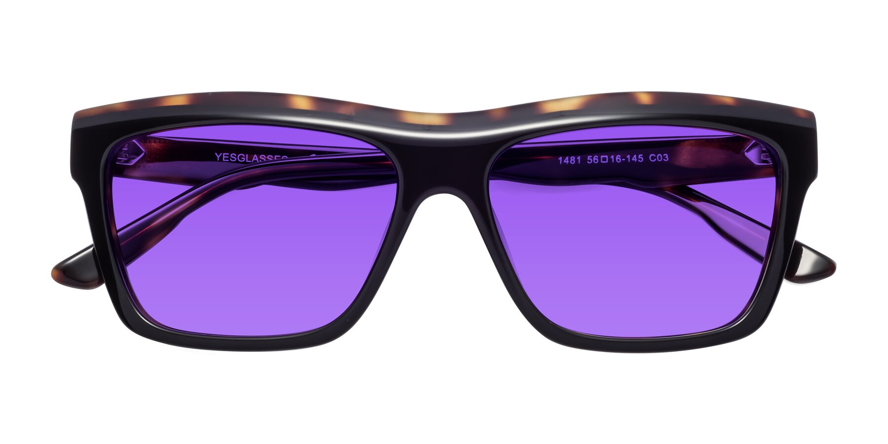 Folded Front of 1481 in Tortoise with Purple Tinted Lenses