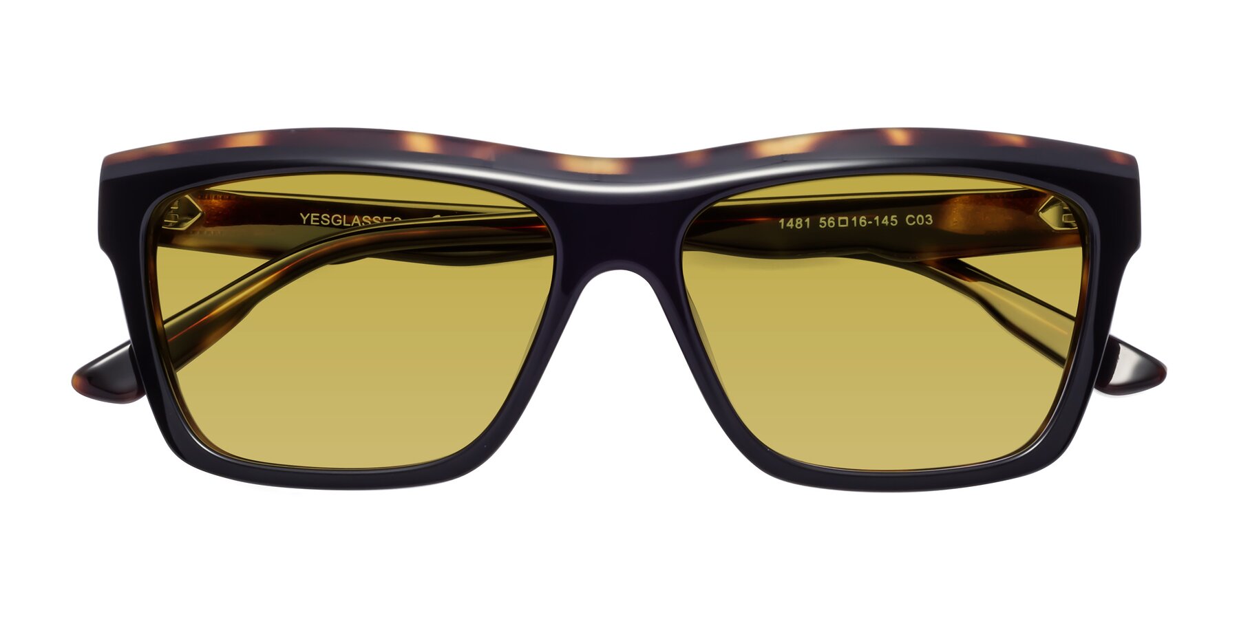 Folded Front of 1481 in Tortoise with Champagne Tinted Lenses