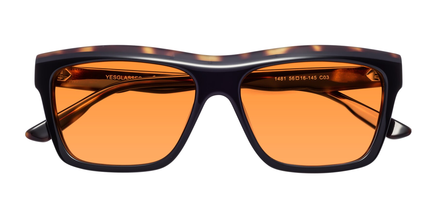 Folded Front of 1481 in Tortoise with Orange Tinted Lenses