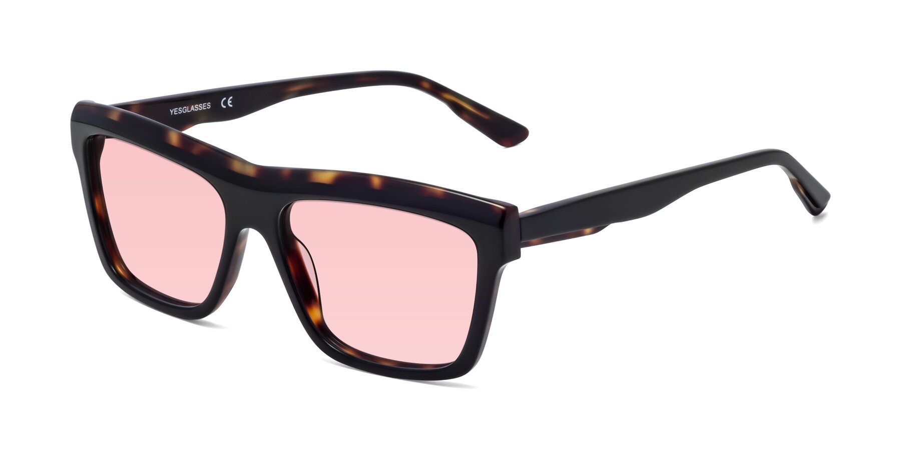 Angle of 1481 in Tortoise with Light Garnet Tinted Lenses