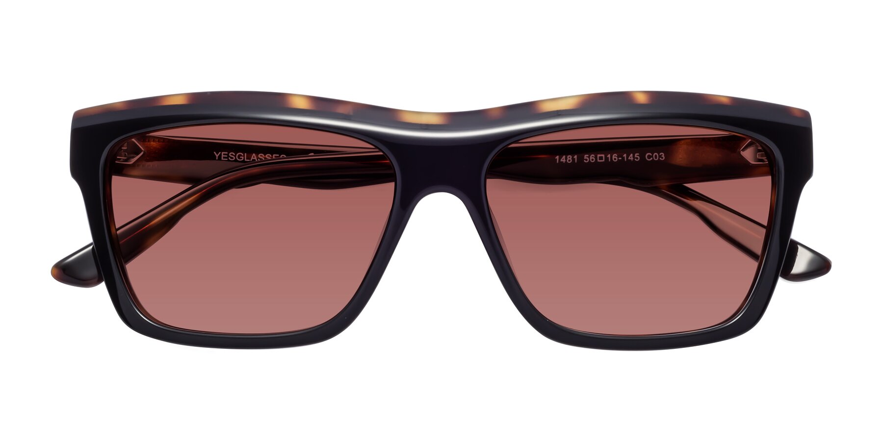 Folded Front of 1481 in Tortoise with Garnet Tinted Lenses