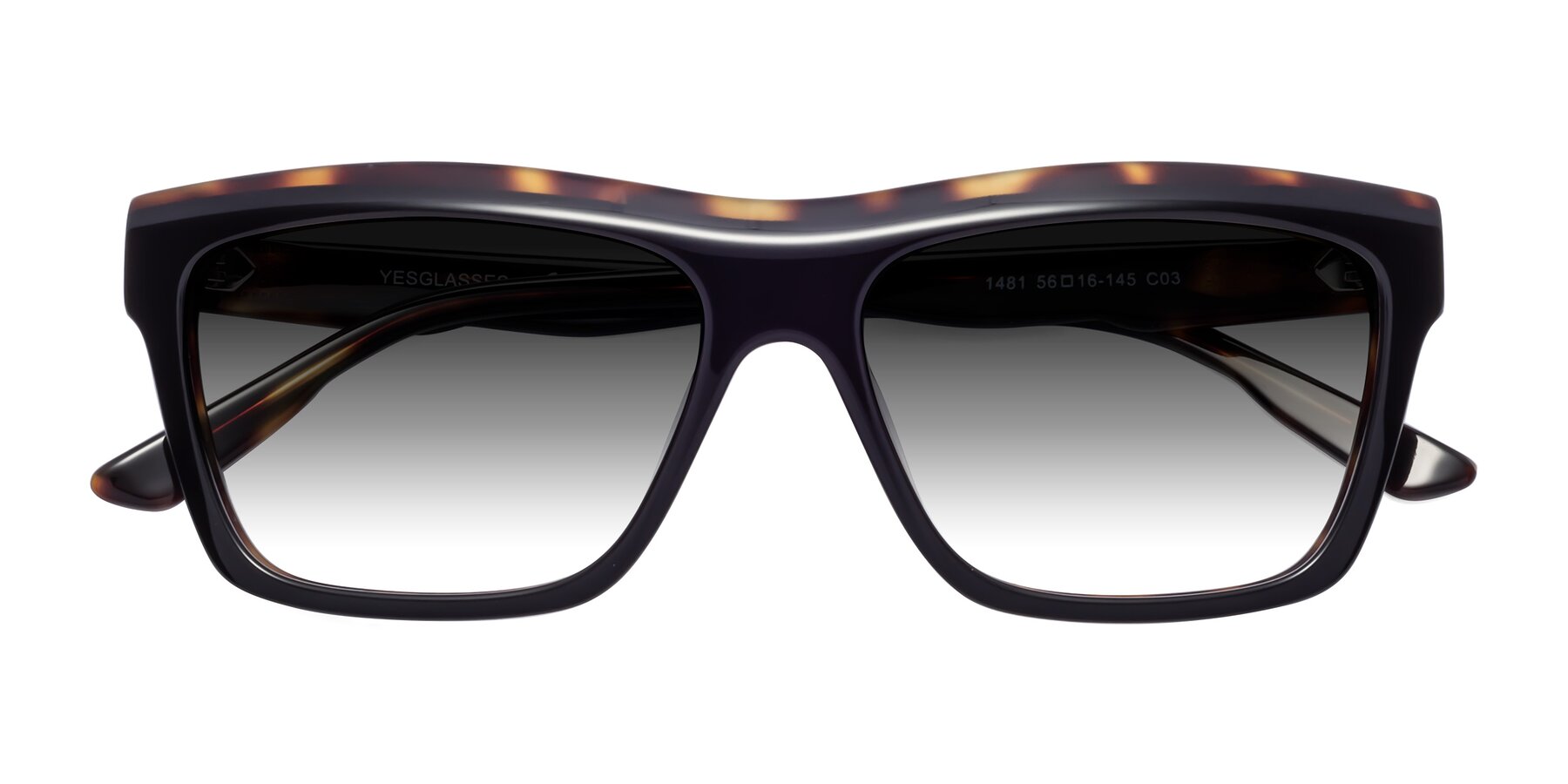 Folded Front of 1481 in Tortoise with Gray Gradient Lenses