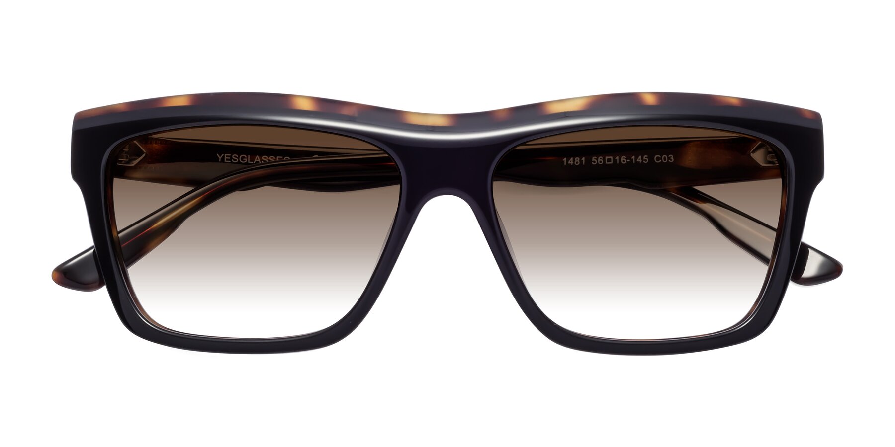 Folded Front of 1481 in Tortoise with Brown Gradient Lenses