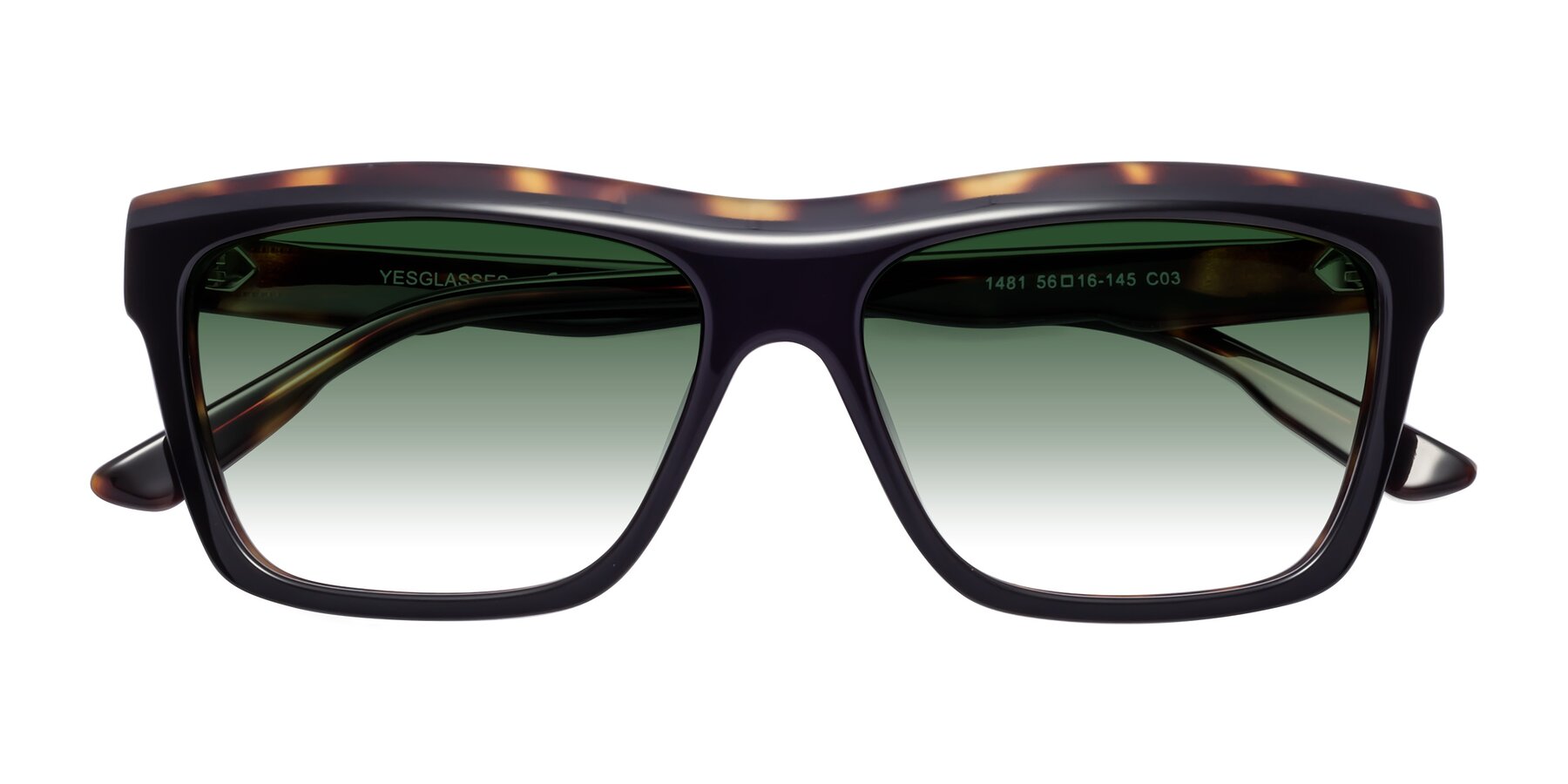 Folded Front of 1481 in Tortoise with Green Gradient Lenses