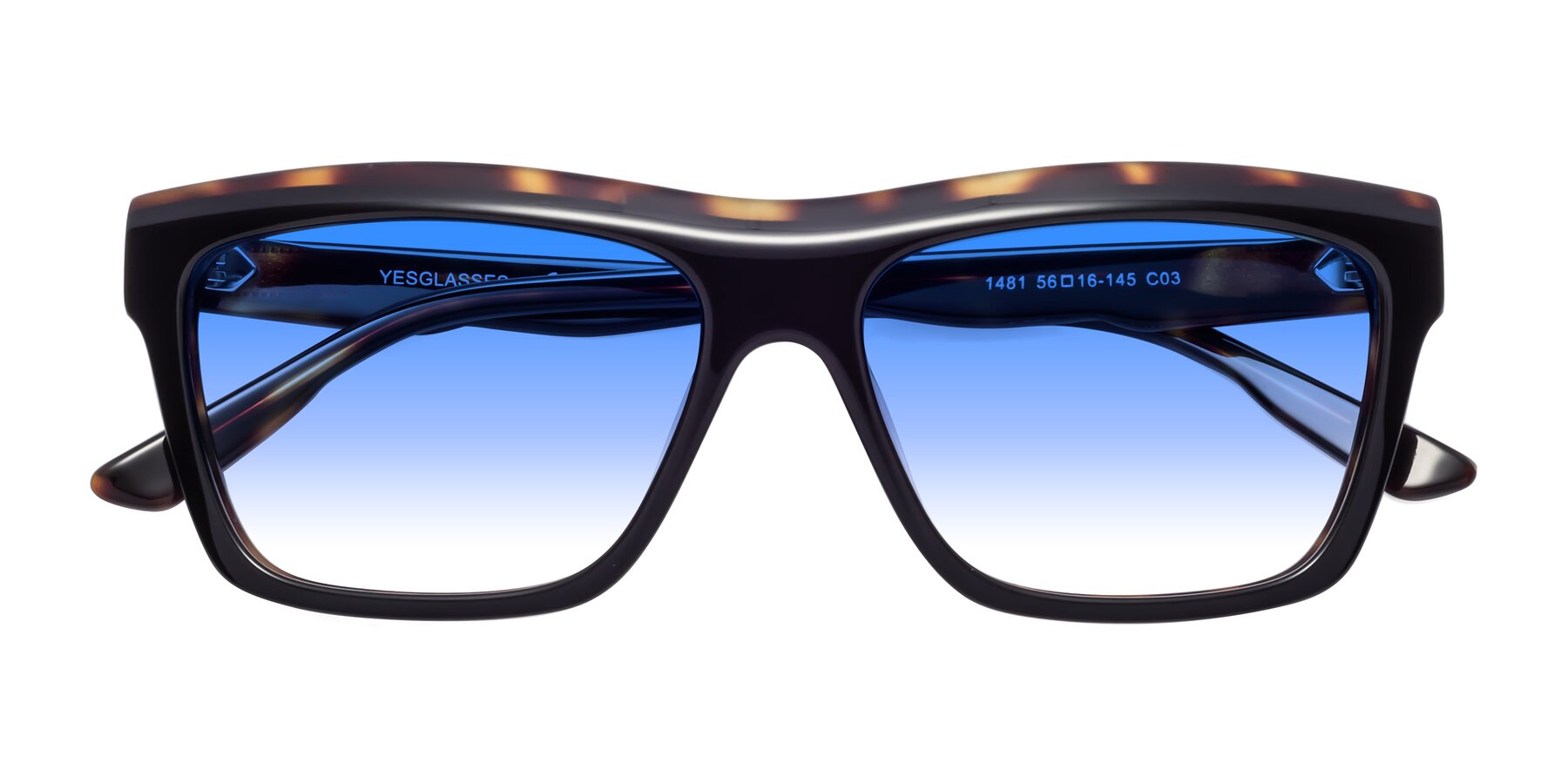 Folded Front of 1481 in Tortoise with Blue Gradient Lenses