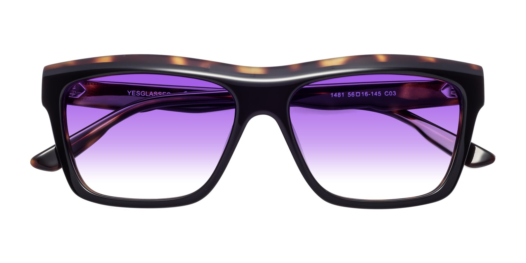 Folded Front of 1481 in Tortoise with Purple Gradient Lenses
