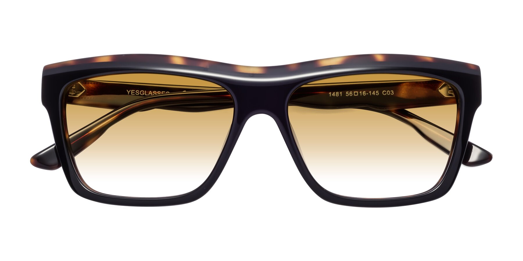 Folded Front of 1481 in Tortoise with Champagne Gradient Lenses