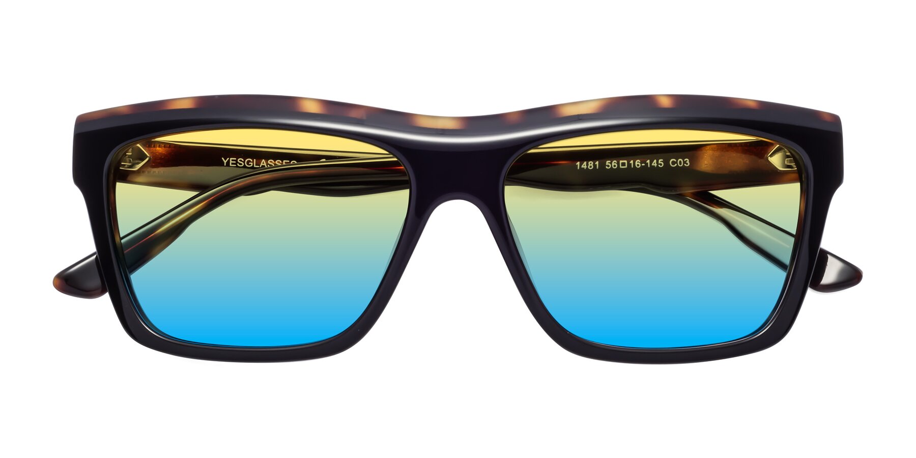 Folded Front of 1481 in Tortoise with Yellow / Blue Gradient Lenses