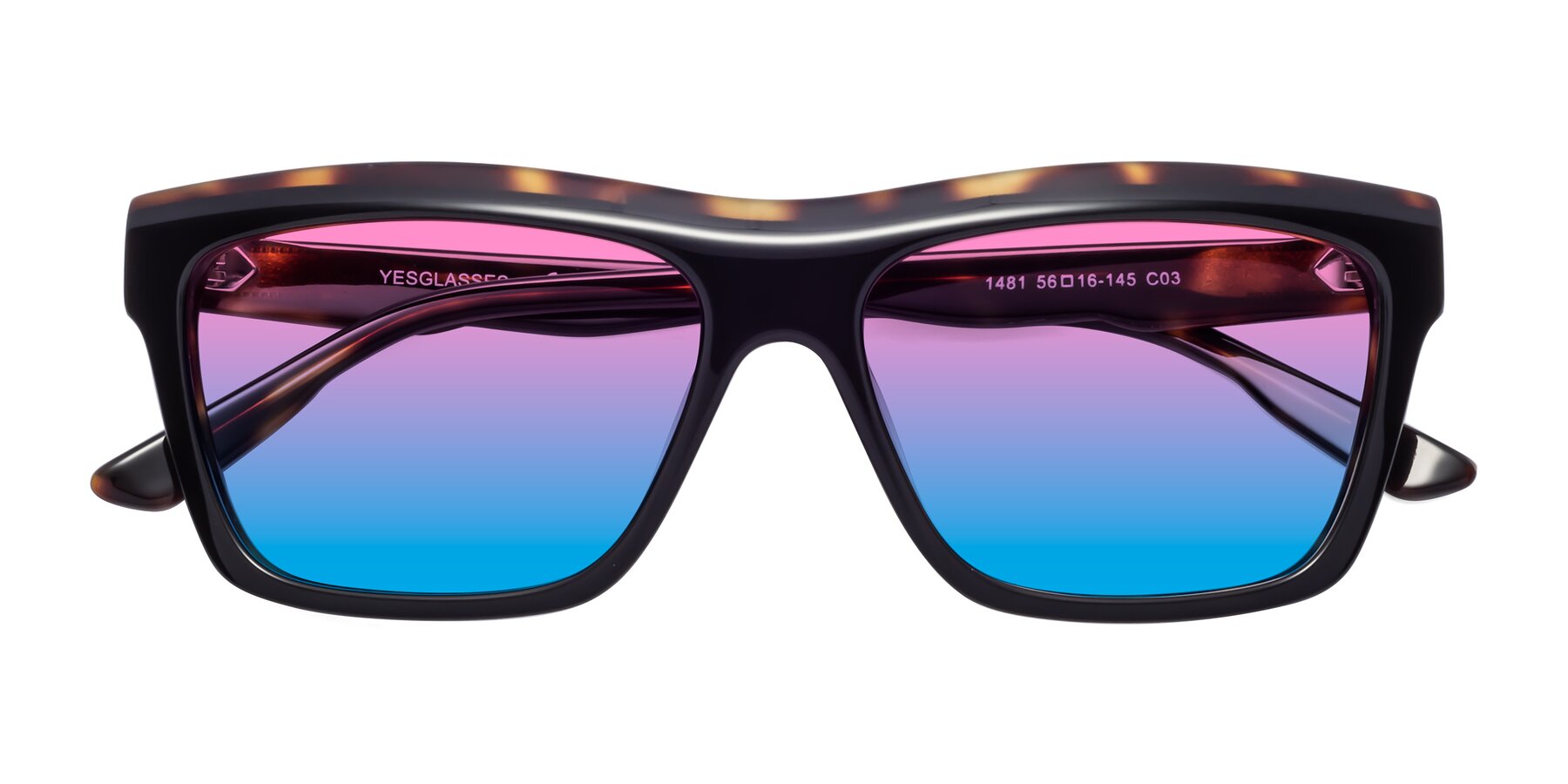 Folded Front of 1481 in Tortoise with Pink / Blue Gradient Lenses