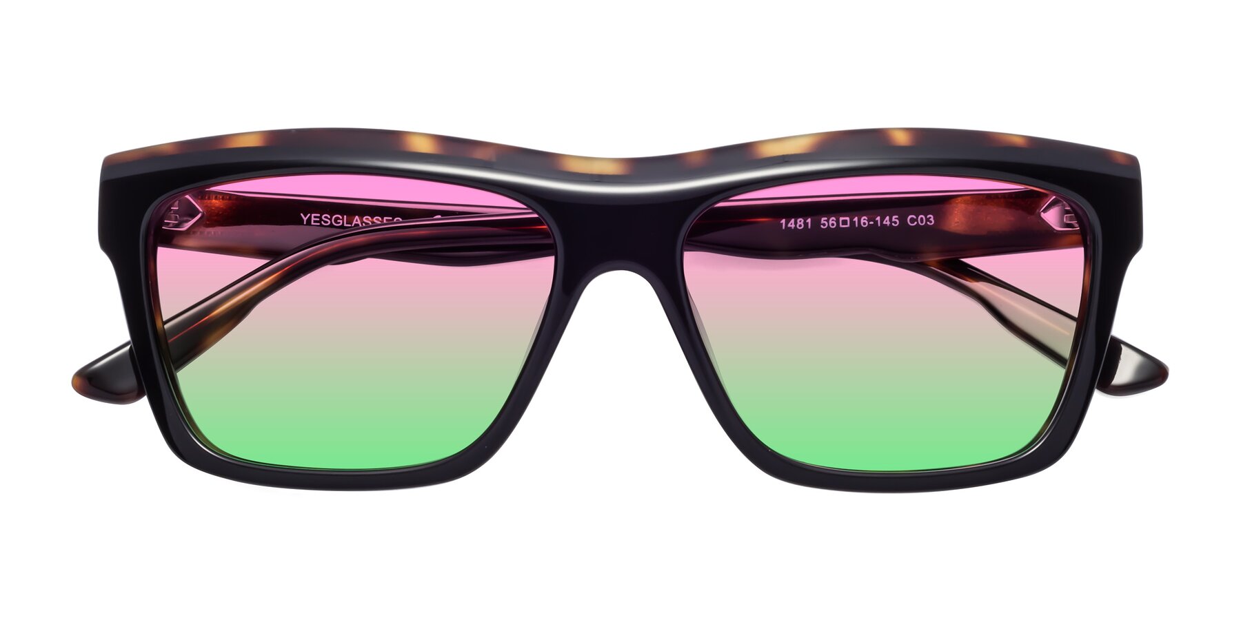 Folded Front of 1481 in Tortoise with Pink / Green Gradient Lenses