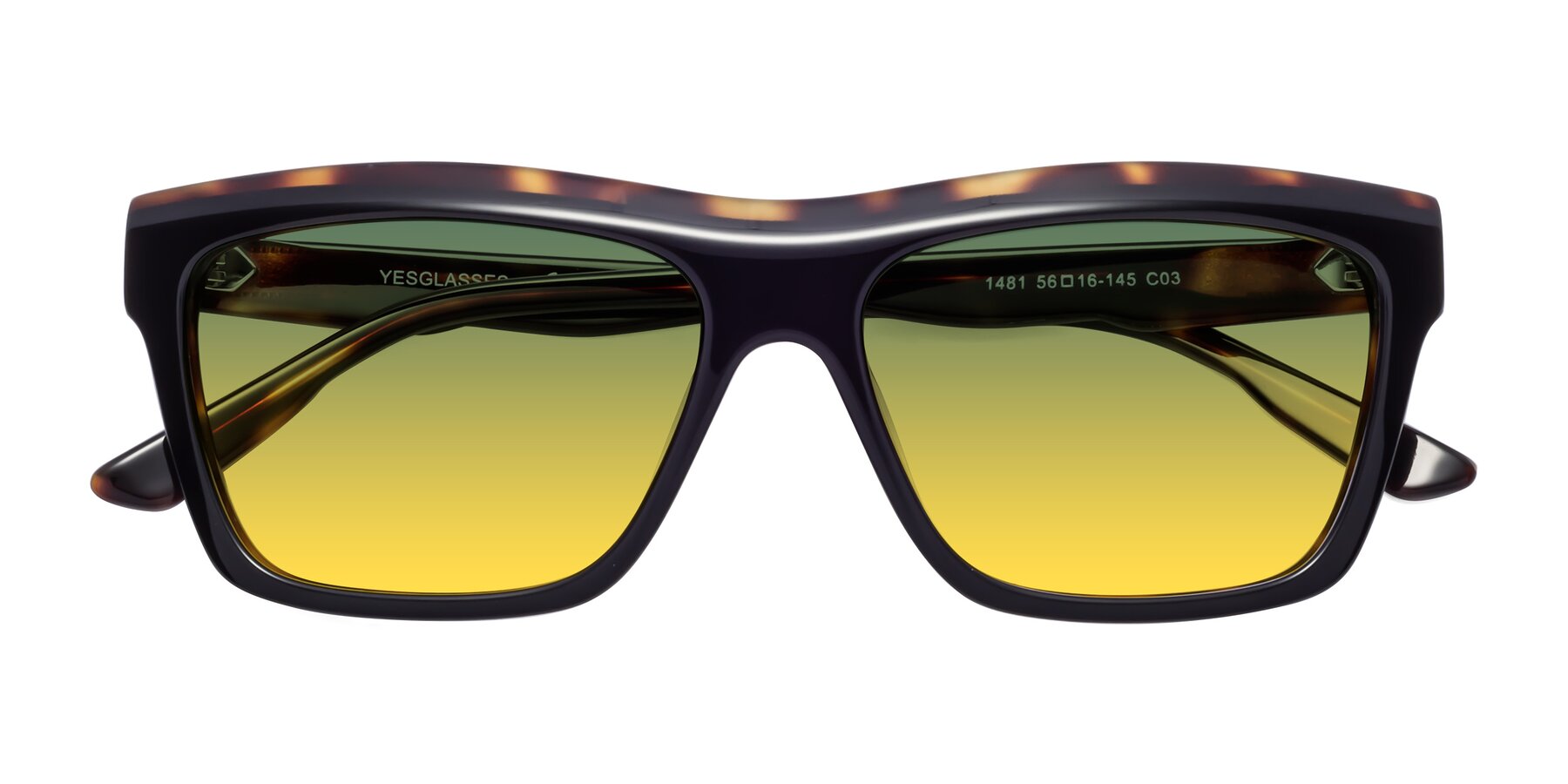 Folded Front of 1481 in Tortoise with Green / Yellow Gradient Lenses