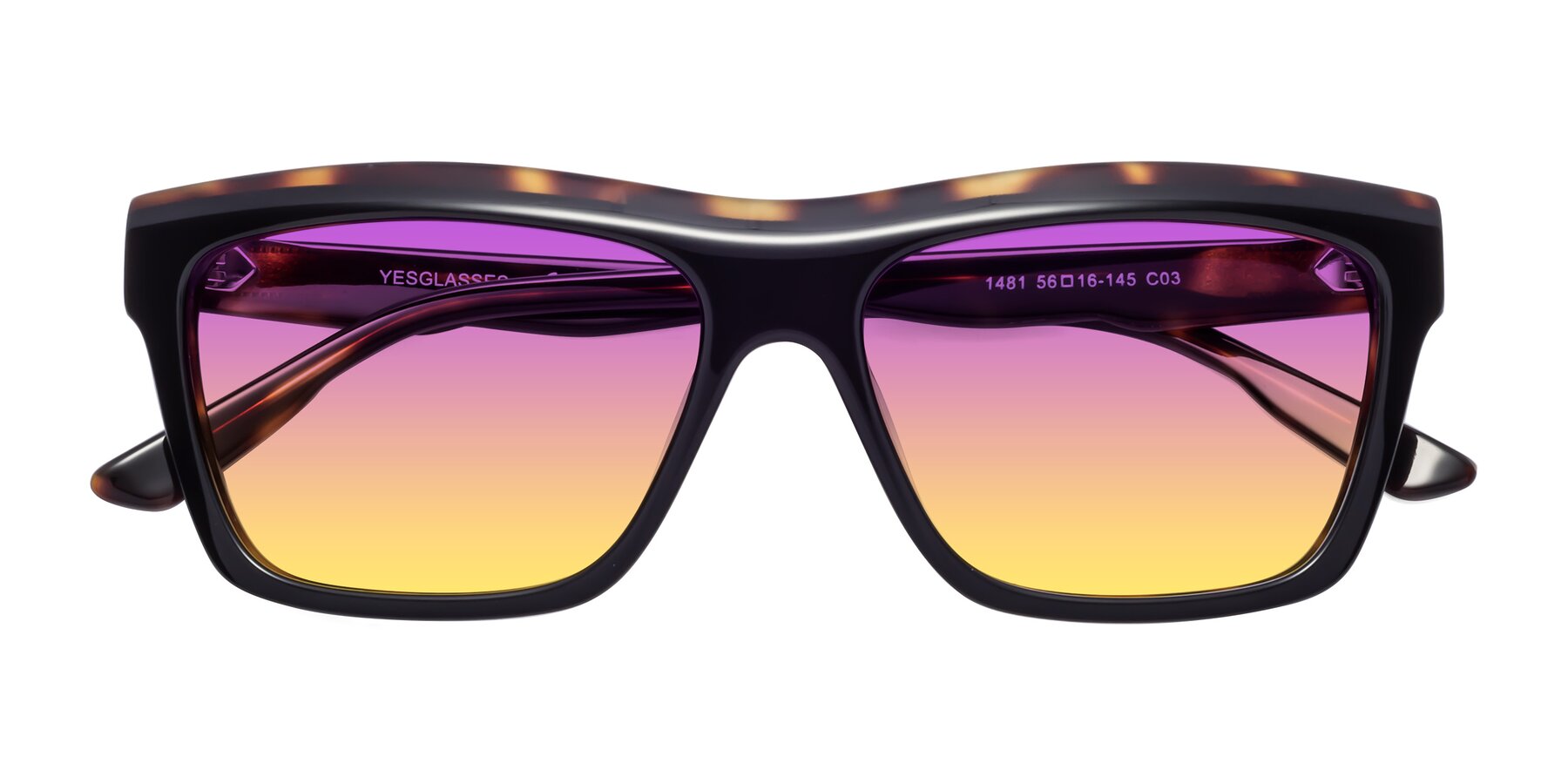 Folded Front of 1481 in Tortoise with Purple / Yellow Gradient Lenses