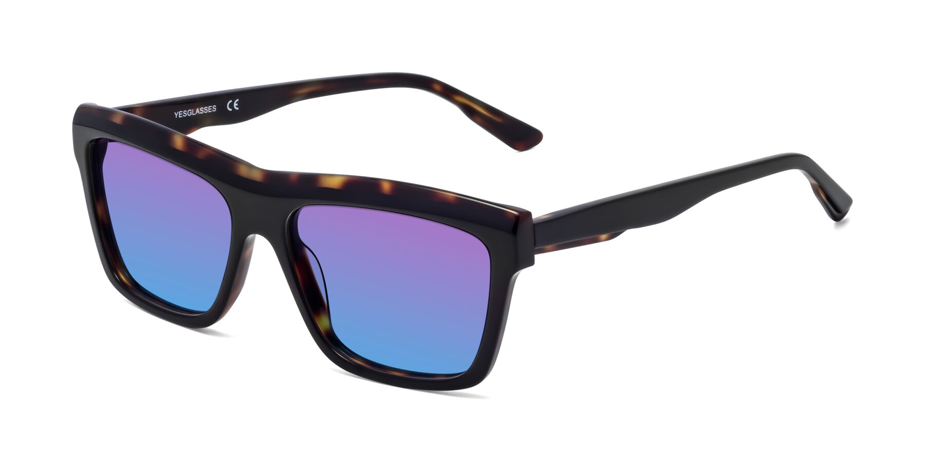 Angle of 1481 in Tortoise with Purple / Blue Gradient Lenses