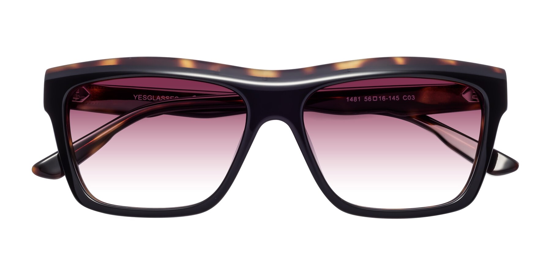 Folded Front of 1481 in Tortoise with Wine Gradient Lenses