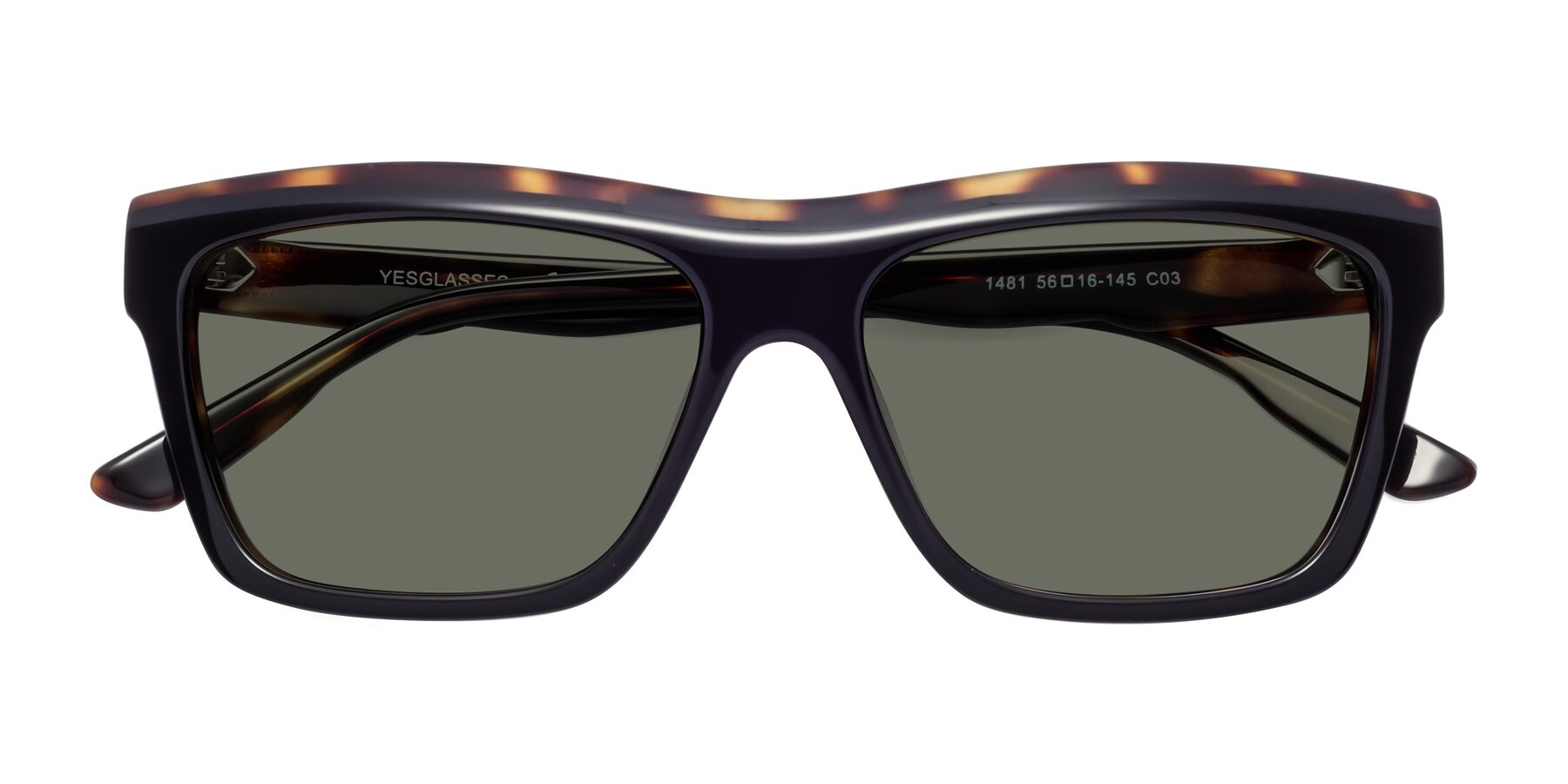 Folded Front of 1481 in Tortoise with Gray Polarized Lenses