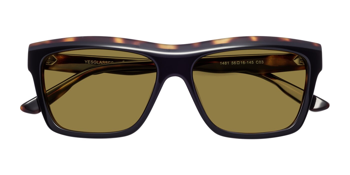 1481 - Tortoise Polarized Sunglasses