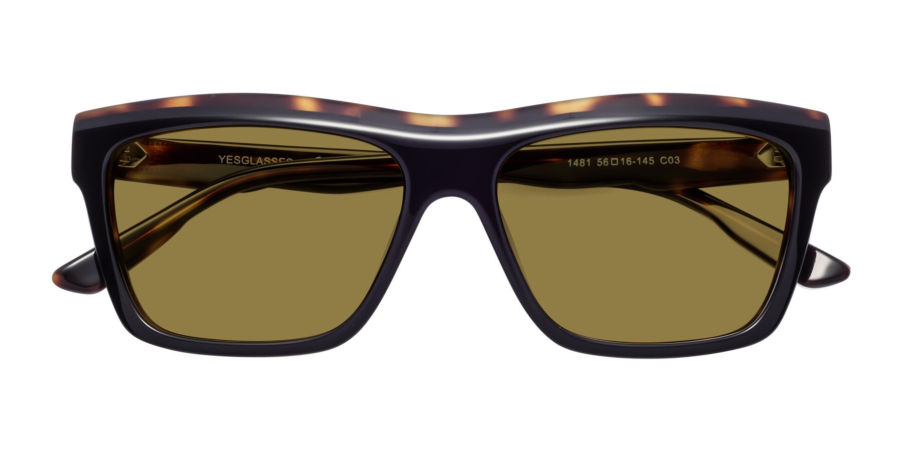 Folded Front of 1481 in Tortoise with Brown Polarized Lenses