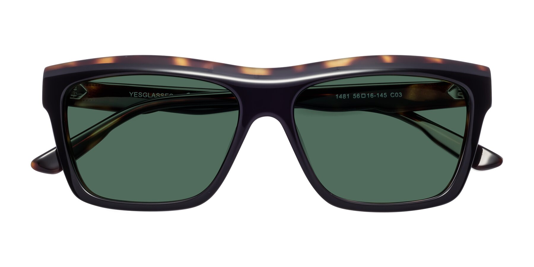 Folded Front of 1481 in Tortoise with Green Polarized Lenses