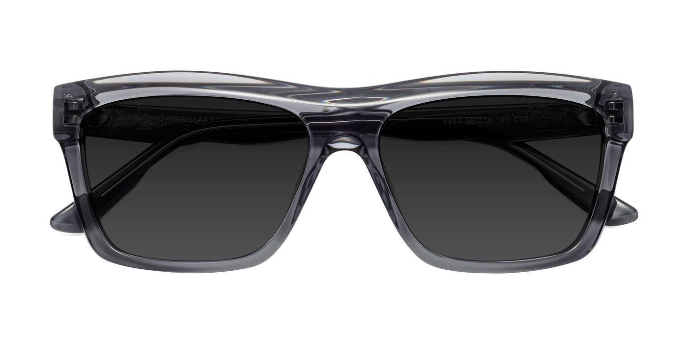 1481 - Stripe Gray Polarized Sunglasses