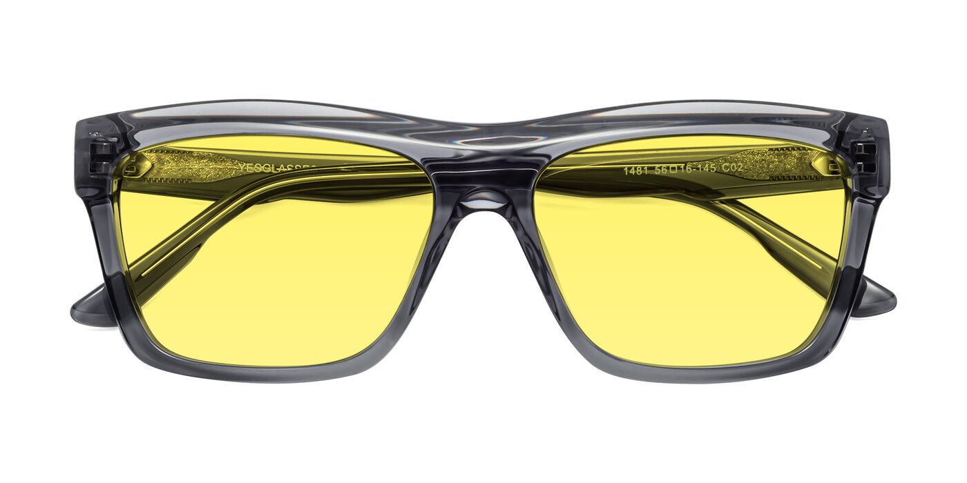 1481 - Stripe Gray Tinted Sunglasses