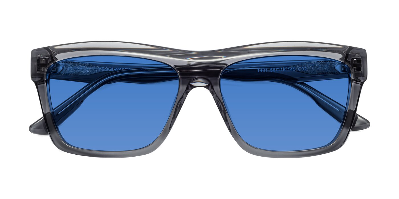 1481 - Stripe Gray Tinted Sunglasses