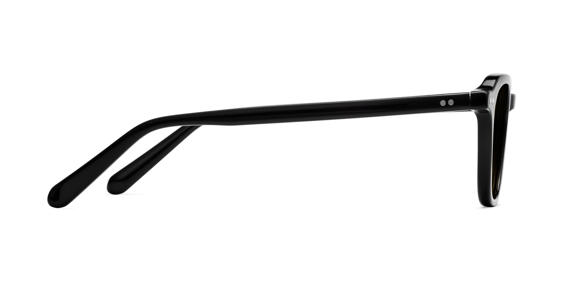 Side of 1484 in Black with Brown Polarized Lenses