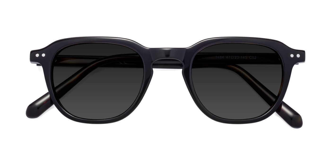 1484 - Tortoise Polarized Sunglasses