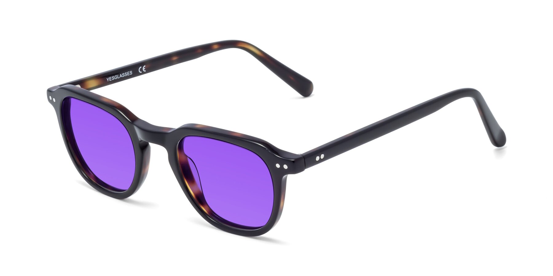 Angle of 1484 in Tortoise with Purple Tinted Lenses