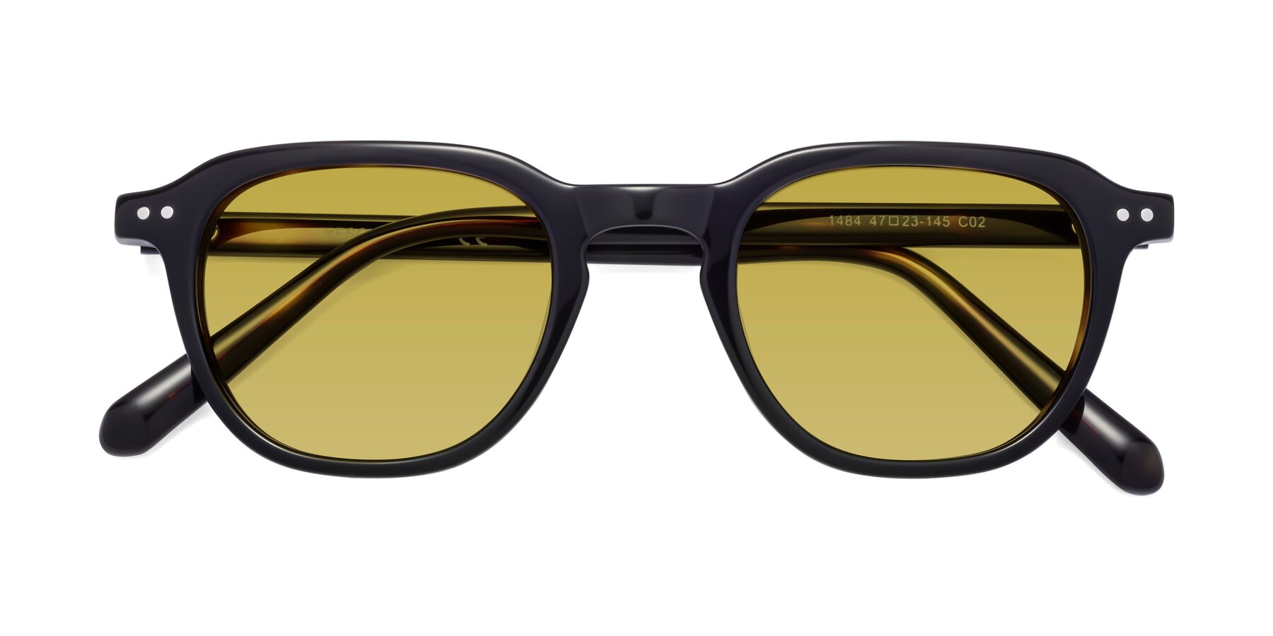 Folded Front of 1484 in Tortoise with Champagne Tinted Lenses