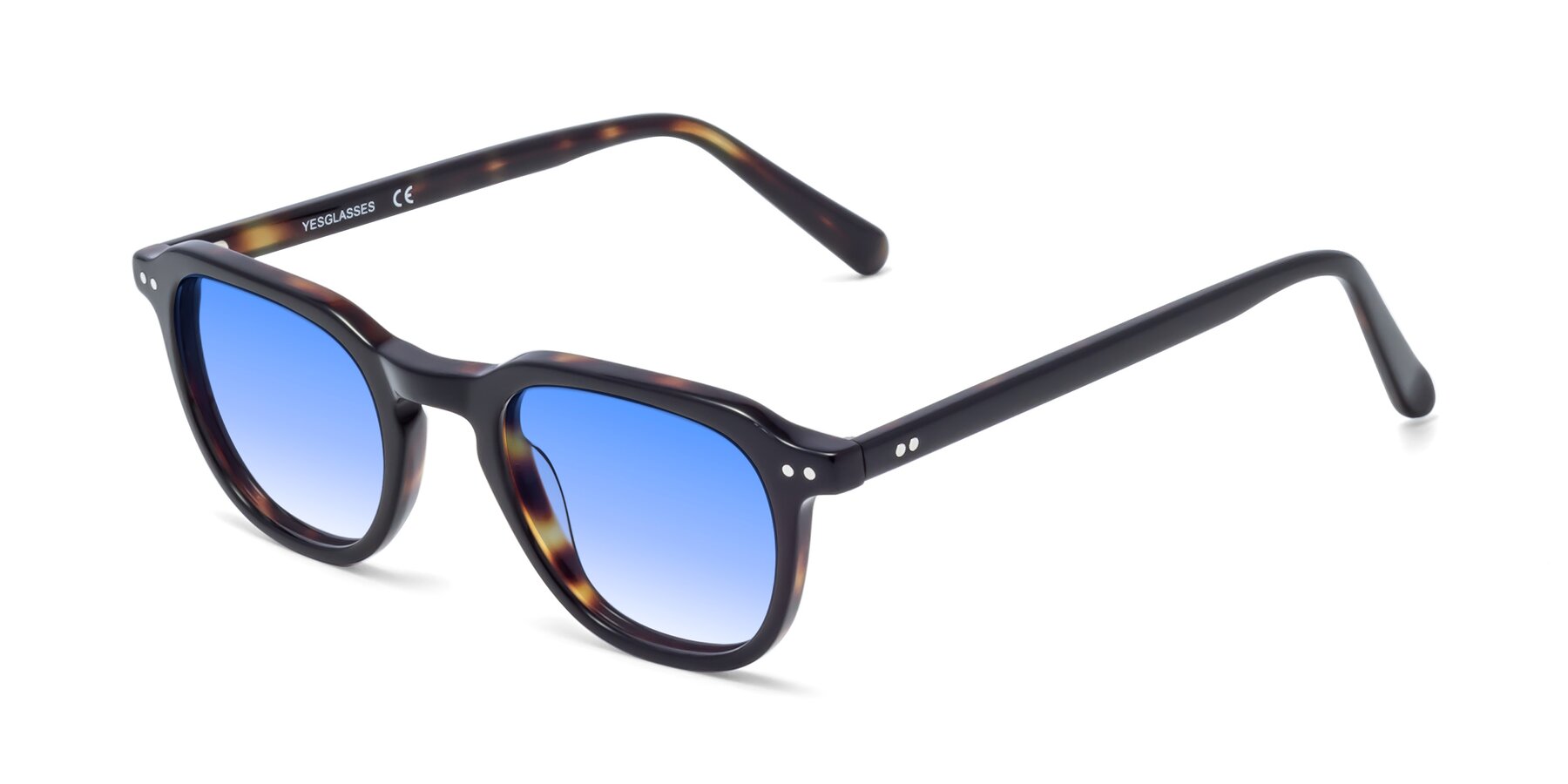 Angle of 1484 in Tortoise with Blue Gradient Lenses
