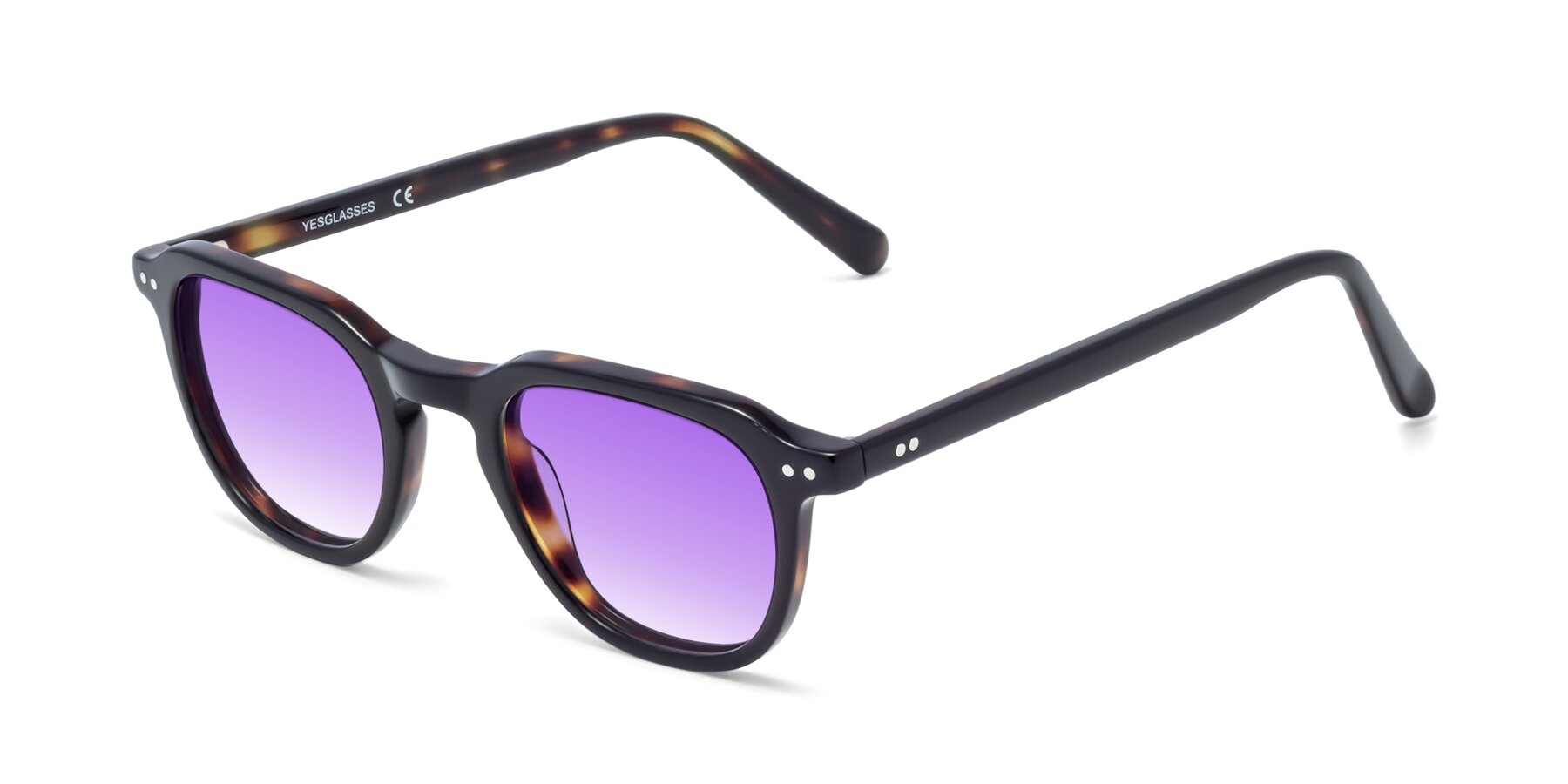 Angle of 1484 in Tortoise with Purple Gradient Lenses